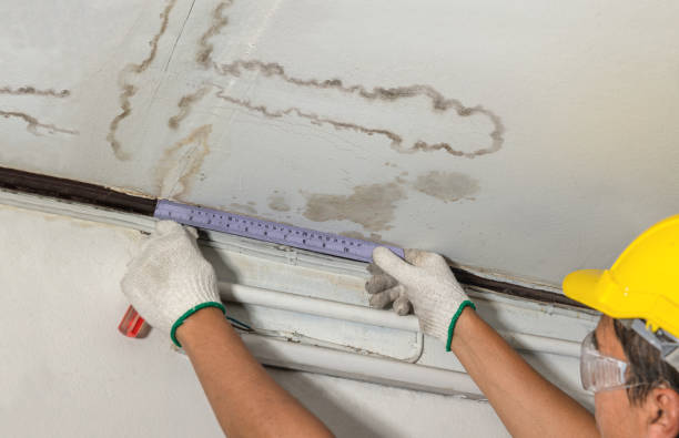 Reliable Sewage Cleanup contractor in Pierce, NE by Water Damage Irwin